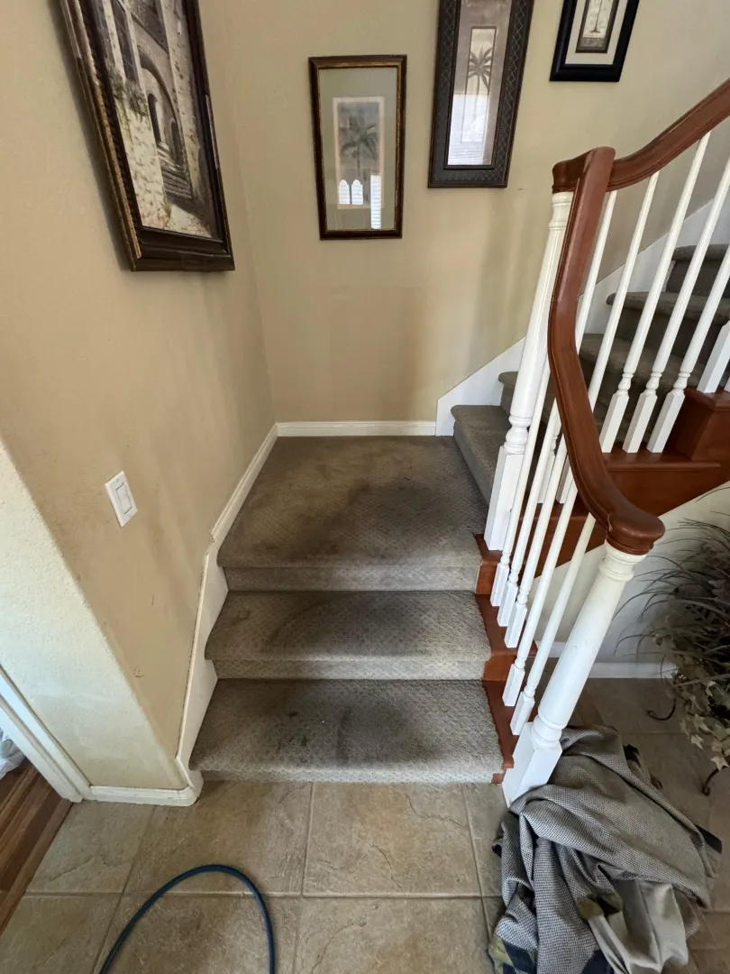 Stairs Carpet Cleaning Before-1